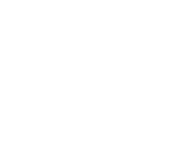GLOCK Perfection